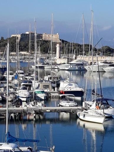 Les Violettes 3 Pieces Centre Ville Antibes Bagian luar foto